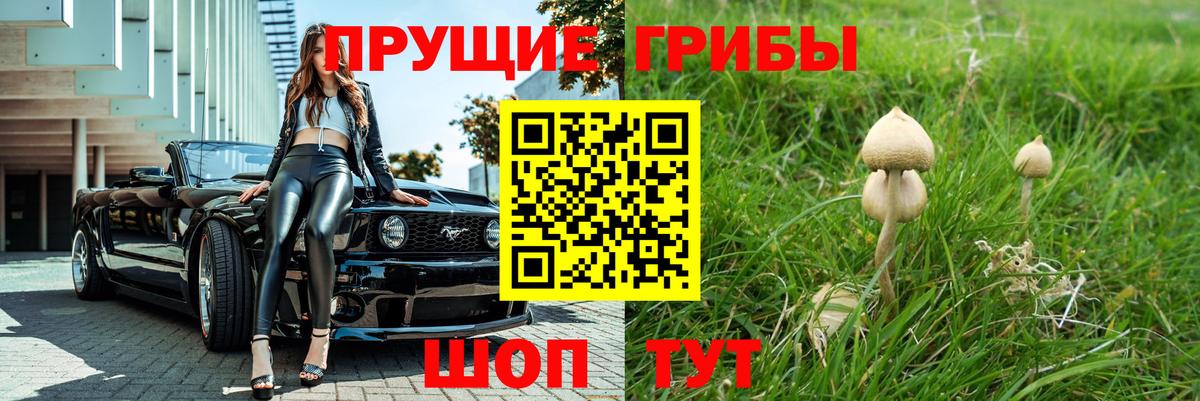 Псилоцибиновые грибы MAGIC MUSHROOMS  Галлюциногенные грибы Cubensis  Сыктывкар  Вход с VPN 